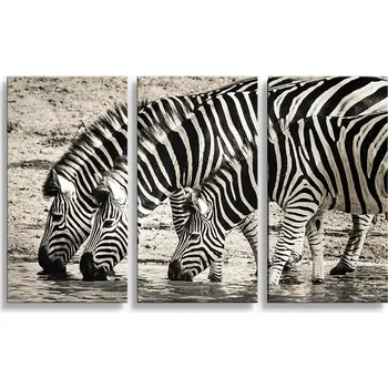 Obraz Sablio Obraz - 3-dílný Zebry u vody: 120x80 cm