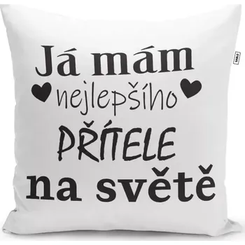 Polštář Sablio Polštář Já mám nejlepšího přítele na světě: 40x40 cm