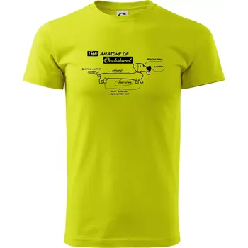 Pánské tričko Jezevčík - Anatomie - Klasické pánské triko vyšší gramáže - XL ( Limetková )