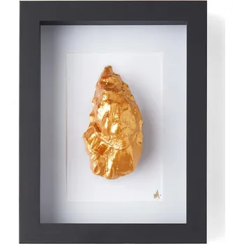 Nástěnná dekorace v rámu Maria el Mar Single Oyster 22 x 17 cm 1214 černá 99X