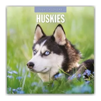 Diář Huskies - Husky - Huskys 2026 - 16-Monatskalender (Kalendář)