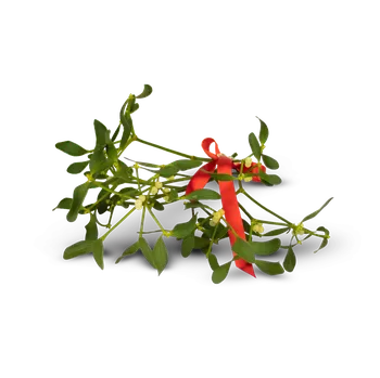 Vánoční dekorace Jmelí zelené – Belles Fleurs