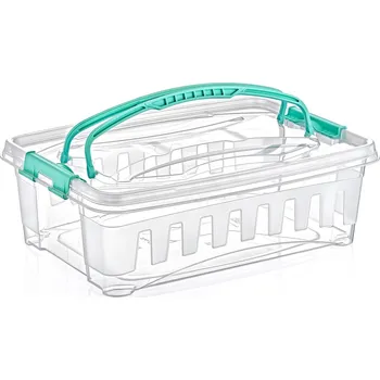 Úložný box Carnival box s madly 8 ltr