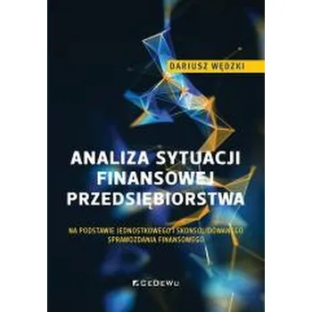 Analiza sytuacji finansowej przedsiębiorstwa - Wędzki Dariusz