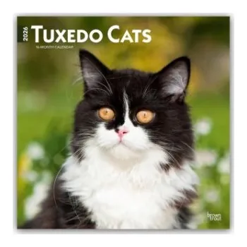 Diář Tuxedo Cats - Tuxedo Katzen 2026 - 16-Monatskalender (EN)