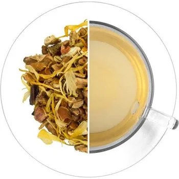 Čaj Dýně a kurkuma - ovocný, 1000g