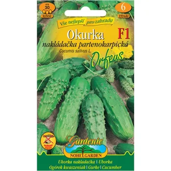 Substrát MORAVOSEED Okurka nakládačka partenokarpická ORFEUS F1, semínka