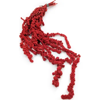 mech-mech.cz Stabilizovaný Laskavec extra ball - Amarant - červený