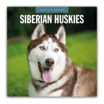 Diář Siberian Huskies - Sibirischer Husky - Sibirische Huskys 2026 - 16-Monatskalender (EN)