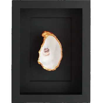 Nástěnná dekorace v rámu Maria el Mar Single Oyster 22 x 17 cm 1212 černá 99X