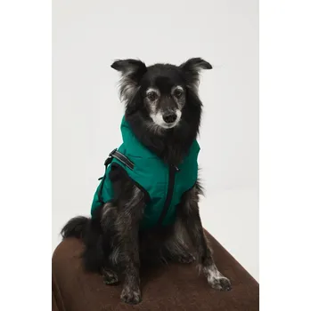 Pánská větrovka Bunda pro mazlíčka Medicine RW25-KUU904 zelená 79X, vel. XL