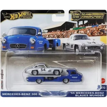 auto na autodráhu Mattel Hot Wheels Premium Car Mercedes Benz 300 SL a 55 Mercedes Benz Blaues Wunder, HRV48