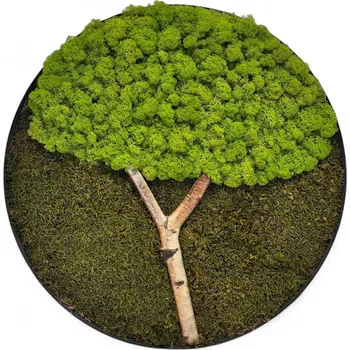 Obraz Mandala od srdce Kruhový mechový obraz 50 cm