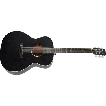 Akustická kytara TANGLEWOOD TWBB O