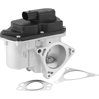 Palivový systém AGR-Ventil BORGWARNER 711080D