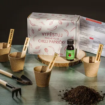 Dárkový potravinový koš Dárková sada na pěstování chilli papriček