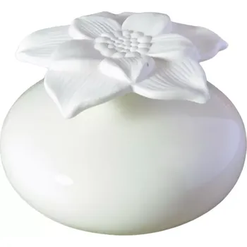 Aroma difuzér Zen’Arôme Dekorativní odpařovač esenciálních olejů - aroma difuzér Bílá Narciska
