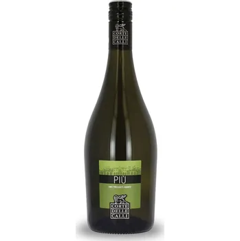 Terra Serena Frizzante piu extra dry 10,5% 0,75 l (holá láhev)
