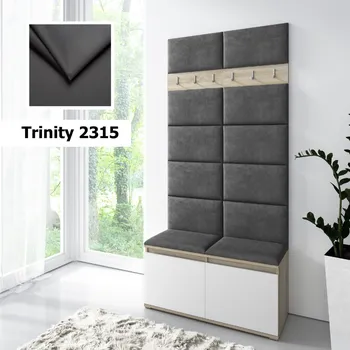 Předsíňová stěna Eka Předsíňová stěna s čalouněnými panely Trinity 1 - Bílá sonoma / Tmavě šedá 2315