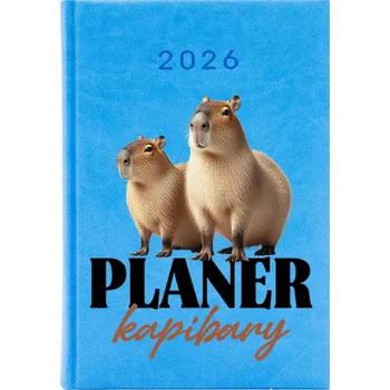 Diář Knižní kalendář 2026 A5 FunnyCase vícebarevný