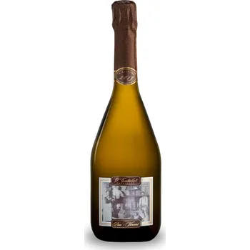 Testulat Cuvée Paul Vincent brut 2013 11% 0,75 l (holá láhev)