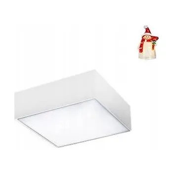 AZzardo čtvercová Stropní Svítidlo 22 x 5,5 cm bílá