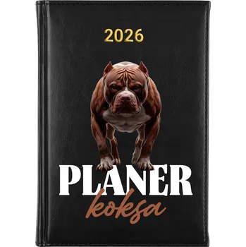 Diář Knižní kalendář 2026 A5 FunnyCase vícebarevný