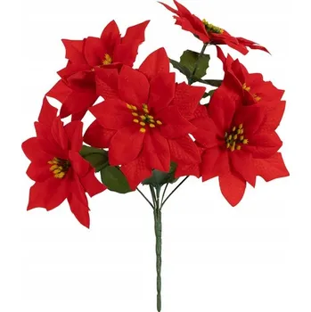 Vánoční dekorace Vánoční hvězda červená květina kytice vánoční hvězda větvička