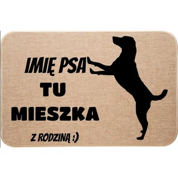 Obraz Kokosová rohožka, hotová, 39 x 59 cm