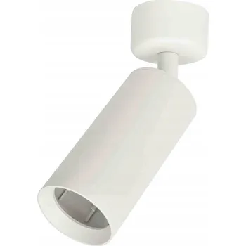 STROPNÍ SVÍTIDLO STROPNÍ SVÍTIDLO MILAGRO MICA ML6087 BÍLÁ