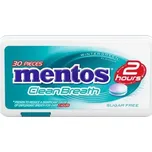 Mentos CleanBreath Wintergreen 21 g