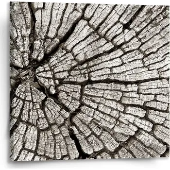 Obraz Sablio Obraz Dřevo - 110x110 cm