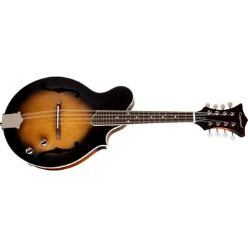 Tanglewood TWMF VS E + prodloužená záruka 3 roky