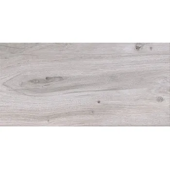 Dlažba DLAŽBA ASHVILLE LIGHT GREY MATT 29,7X59,8 #084