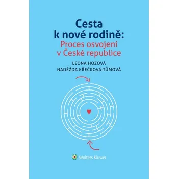 Kniha Cesta k nové rodině: Proces osvojení v České republice (E-kniha)