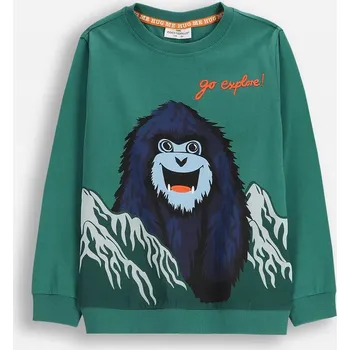 Chlapecké tričko Dětské tričko zelené chlapecké 104 Coccodrillo ZC5