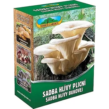 Semeno Hlíva plicní 250 ml