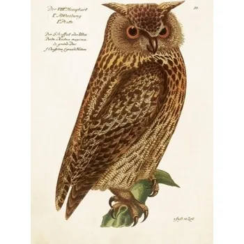 Výtvarná sada Přání Forest Animals Owl