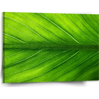 Obraz Sablio Obraz List 2 - 150x110 cm