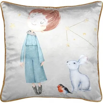 Polštář Polštář FERDINAND 50x50 cm chlapecký