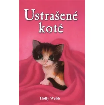 Ustrašené kotě