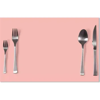 prostírání Sablio Prostírání Lososová: 40x30cm