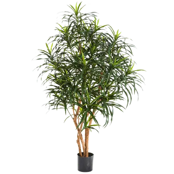 umělá květina Dracaena Anita Verzweigt (13x120cm)-umělá -ý + doprava zdarma