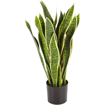 umělá květina Sansevieria Variegated (20x93cm)-umělá -ý + doprava zdarma