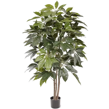 umělá květina Schefflera Actinophylla Amate Tree (17x150cm)-umělá -ý + doprava zdarma