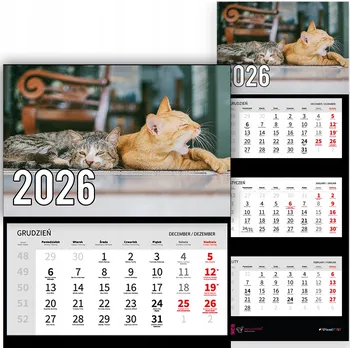 Obraz Trojdílný kalendář na rok 2026 na zeď do kanceláře – Zvířata, kočičí přátelé