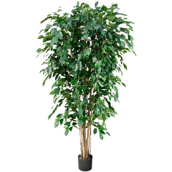 umělá květina Ficus Benjamina Exotica Tree (18x180cm)-umělá -ý + doprava zdarma