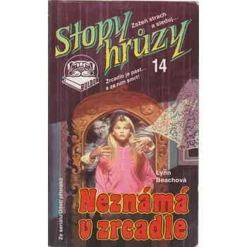 Lynn Beach Neznámá v zrcadle Stav: Použité zboží - běžné opotřebení