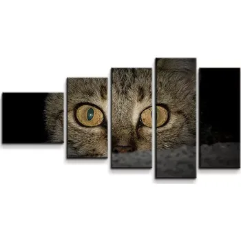 Obraz Sablio Obraz - 5-dílný Kočka - 100x60 cm
