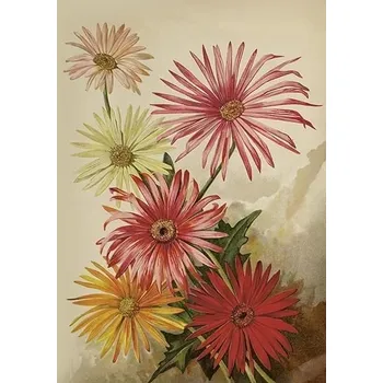 Výtvárné potřeby Přání Orange Autumn Flowers